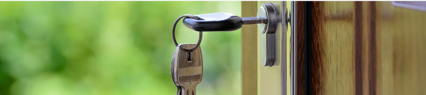 Puertas y Accesorios